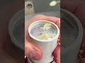 Mini Garlic Chopper Tool 🔥 Kitchen Gadget You NEED! | Amazon Finds 2026
