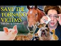 EMERGENCY LIVE TAROT READINGS! HELP SAVE ANIMALS AFFECTED BY THE TORNADOES! Tues Dec 14, 2021