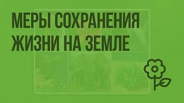 Меры сохранения жизни на Земле. Видеоурок по природоведению 5 класс