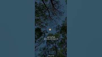 {حتى إذا استيأس الرس وظنوا أنهم قد كذبوا} سورة يوسف🤍