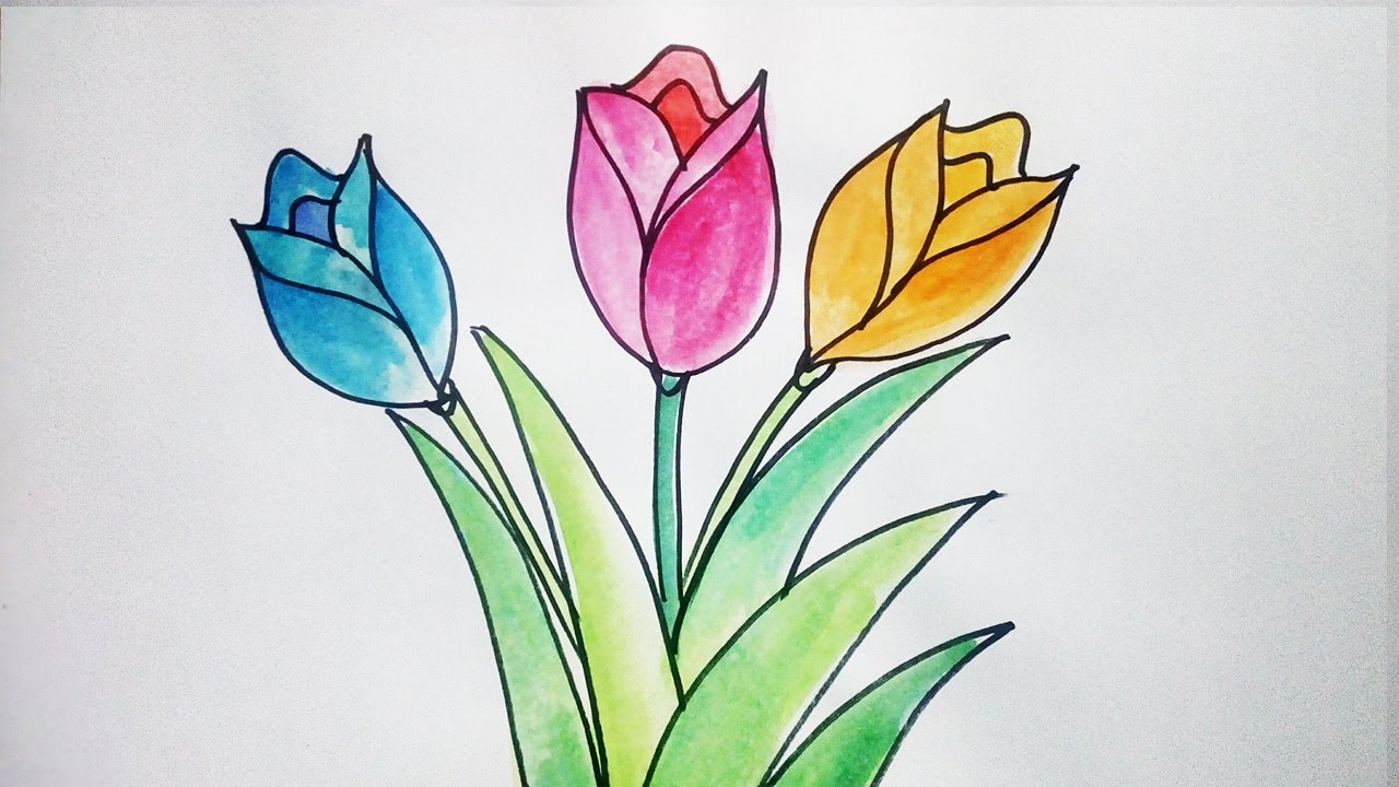 20 Trend Terbaru Cara Menggambar  Bunga  Tulip Yang Mudah 