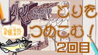 日曜夜は1週間振り返ってのんびりゲーム！猫が鳥をきれいにつめる！　Birds Organized Neatly 2回目【ネタバレ注意/初見プレイ】