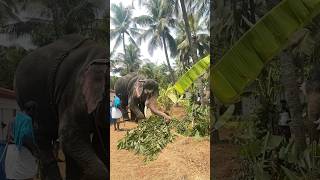 Valiyalukkal Kuttishankaran And Crew Valiyalukkal Vela 2026 aana