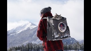 cat adventure backpack