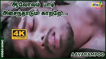 ஆலோலம் பாடி அசைந்தாடும் காற்றே..| Vineeth | Nandhini | Nassar | Ilaiyaraaja | Raj 4K Songs