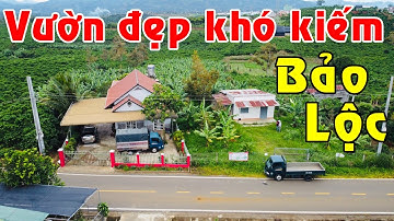 HIẾM CÓ! Bán nhà & đất vườn trái cây 4294m2 sẵn thổ cư mặt đường TQK Bảo Lộc quá tuyệt để nghỉ dưỡng