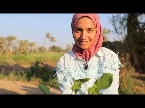 شابة مصرية تنتج الغاز من روث الحيوانات