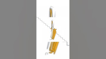 Scratch Cat vs Stairs (SHORTS VERSION)