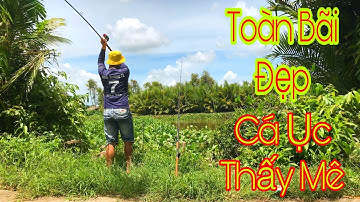 Câu Cá Tra Sông | Bãi Câu Mới ; Đẹp, Hugo Ục Nhiều Và Gặp Phải Con Cá Xui Nhất Trong Ngày - Fishing