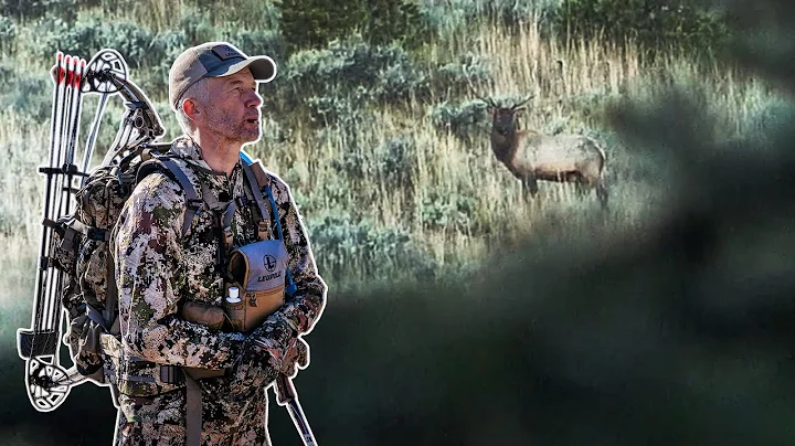 Bull's Bugling in Camp! - Backcountry Archery Elk in Idaho (FT S9 EP.5)