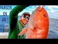 Pesca de Pargo en Altamar - Pargos en jig!