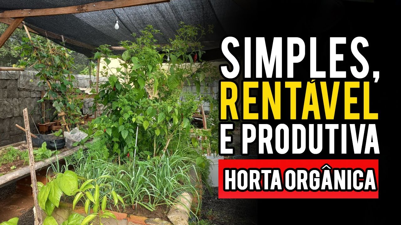 Como está a PRODUÇÃO da nossa HORTA e QUANTO GASTAMOS