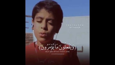 لا يعصون الله ما أمرهم | تلاوة مرئية خاشعة ومؤثرة بصوت جميل جدا حالات واتس اب دينية قصيرة قران كريم