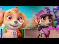 Paw Patrol/Barbie Girl ￼Skye Edit🩷🎀🐾