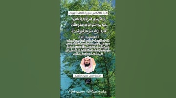 لآية (20)من سورة العنكبوت.... القارئ الشيخ سعود الشريم.