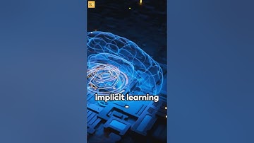The Science of Learning: A Quick Dive