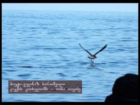 იმედს ვიტოვებ