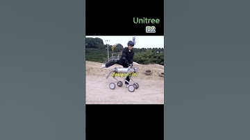 Unitree B2 robot dog #unitreeb2 #unitree #ai #robot #b2 #shorts #trending #viral #funny #dog #fyp