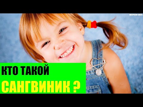 Кто такой сангвиник?