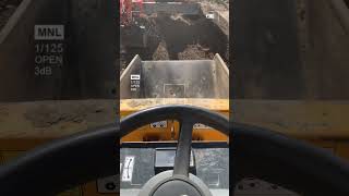 Same S*** Different Day🦺🪏😂Loading Top Soil On Site #construction #excavator #topsoil #landscape