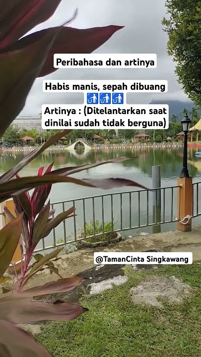 Peribahasa Indonesia dan artinya, Habis manis, sepah dibuang #peribahasaindonesia #like #pribahasa