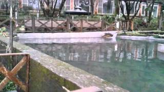 20130125 金山區魚路古道農場（歇業）【Meck大叔】