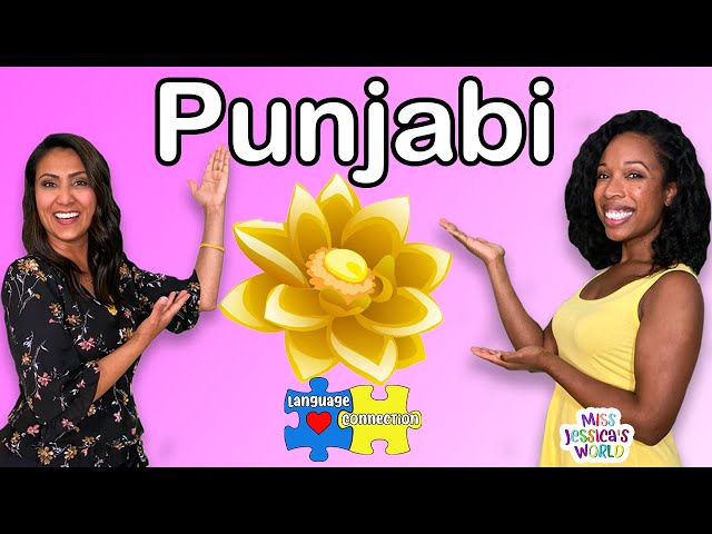 Learn Punjabi - #Punjabi word of the day #LearnPunjabi