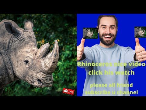 Rhinoceros گینڈا۔ All About Rhinos for Kids: Rhinoceros for Children