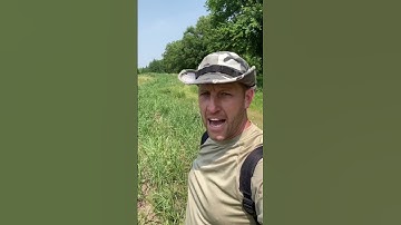 ADD THIS TO SWITCHGRASS TO MAKE IT BEDDING: Long term planning to make your investment pay off!!!