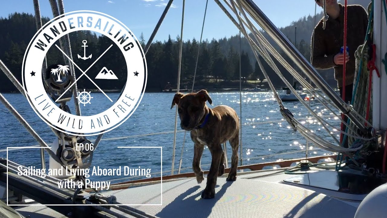 Sailing and Living Aboard with a Puppy | E06