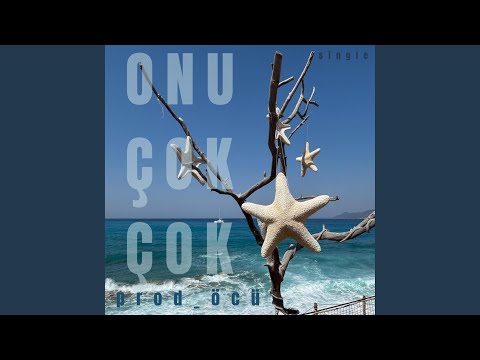 ONU ÇOK ÇOK Prod öcü