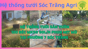 Hệ thống tưới sân vườn | với béc MK99 90l/h tưới mịt mù | tại Sóc Trăng