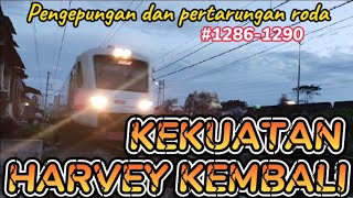 KEKUATAN HARVEY KEMBALI #1286-1290|PENGEPUNGAN DAN PERTARUNGAN RODA