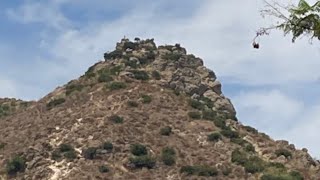 Hiking With My Dad