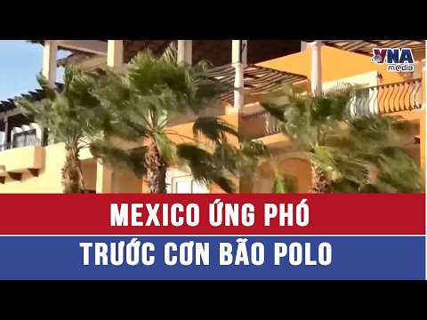 Mexico Responds to Hurricane Polo - VNAMedia