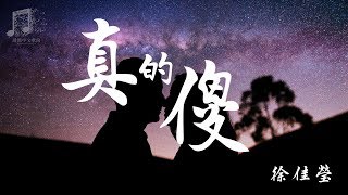 徐佳莹  真的傻 『超高音質』【動態歌詞Lyrics】