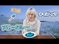 話題のひたち海浜公園のネモフィラ、やっと見に行けた!そして不思議な青いカレーも食べたら、歯が青くなった!