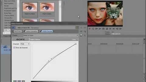 Sony Vegas Tutorial: Color Grading #2