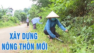 Phát huy vai trò của Mặt trận Tổ quốc trong xây dựng nông thôn mới | THLC