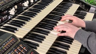 Sunshine Reggae (Laid Back) - Organ Cover / Florian Hutter - Wersi Atlantis