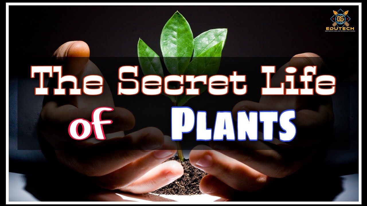 Secret Life of Plants How Plants Communicate and Think Amazing