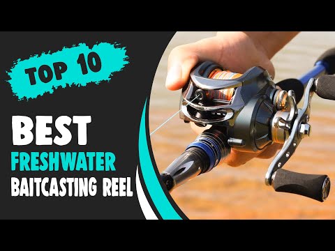 Best Freshwater Baitcasting Reel in 2021 – Be Professional About Fishing! 