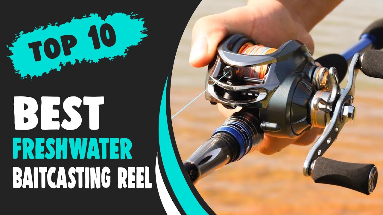 Best Saltwater Spinning Reel Under 100 in 2022 – We Recommend