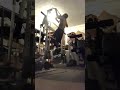 ok big dawg this aint no 4 wheel this is a challenger $ #fitness #motivation