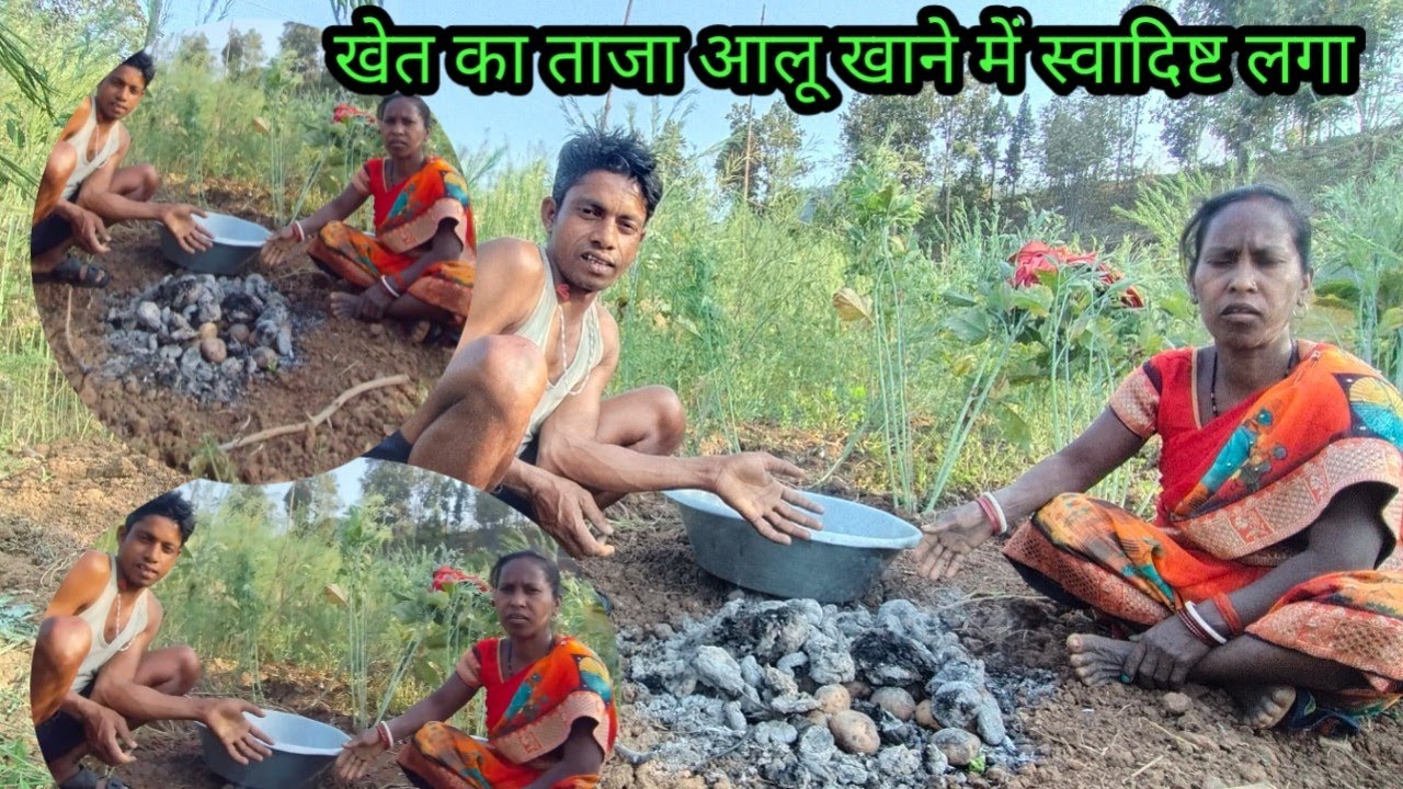 खेत का ताजा आलू खाने में स्वादिष्ट लगा // Budhani ki duniya
