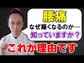 知ると痛みの改善が早くなる！？腰に痛みが出る理由【腰痛 原因 改善 】