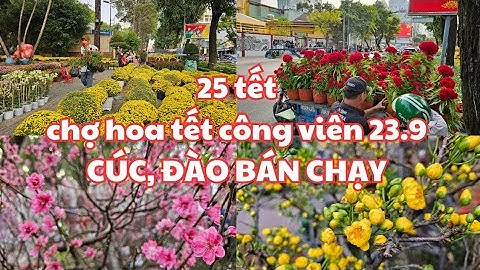 25 tết, Chợ hoa tết công viên 23.9 quận 1: CÚC ĐÀO BÁN CHẠY, Cây mai Đại Lộc ĐẸP 25 triệu đã có chủ