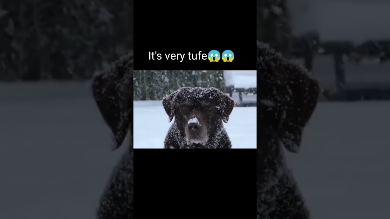 IT is very critical condition 😱😱😫💯