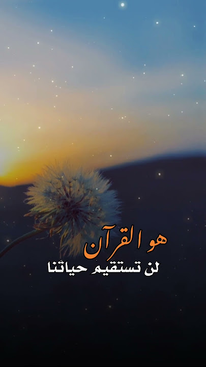 هو القران ماهر زين