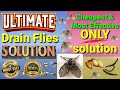 Ultimate Drain Flies Solution. Cheapest and most effective ONLY solution.